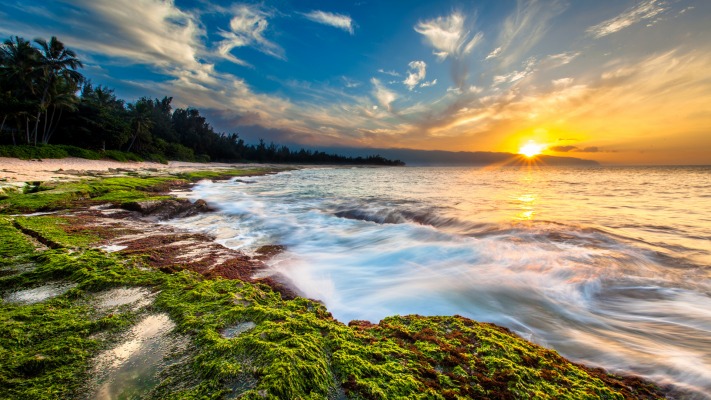 Nature. Desktop wallpaper
