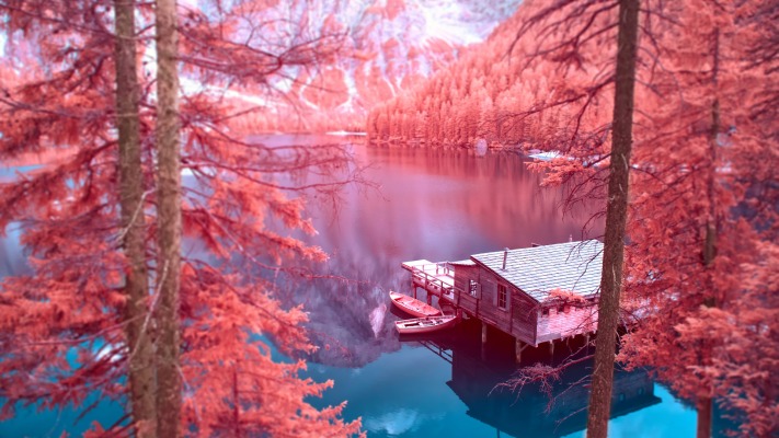 Nature. Desktop wallpaper