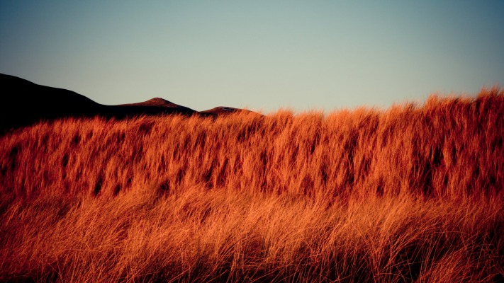 Nature. Desktop wallpaper