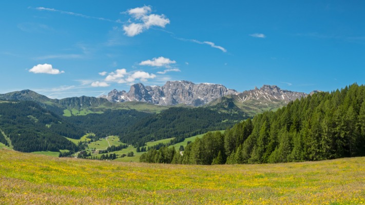 Nature. Desktop wallpaper