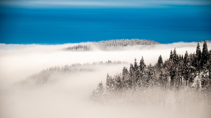 Nature. Desktop wallpaper