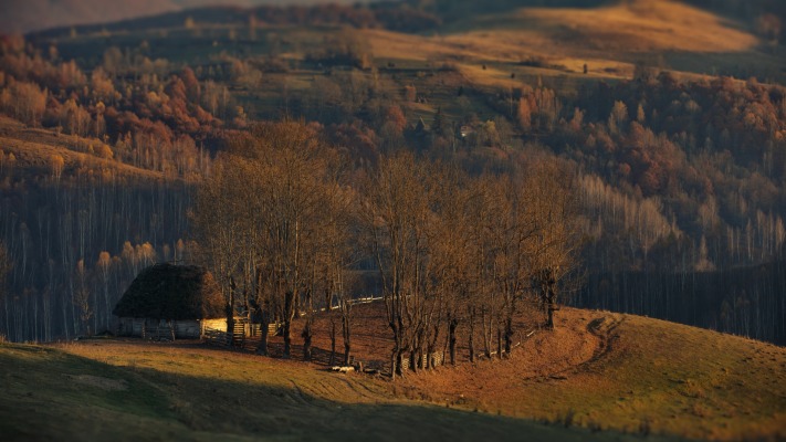 Nature. Desktop wallpaper