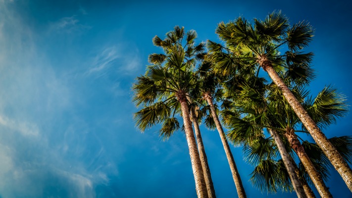 Nature. Desktop wallpaper