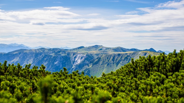 Nature. Desktop wallpaper