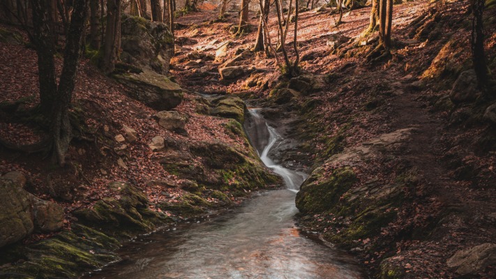 Nature. Desktop wallpaper