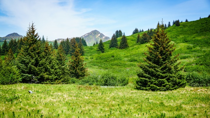 Nature. Desktop wallpaper