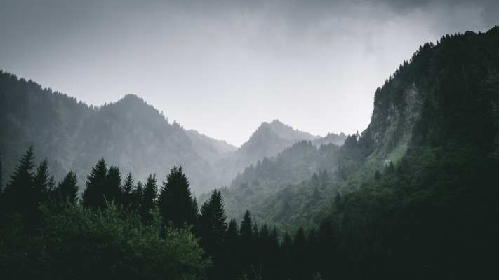 Nature. Desktop wallpaper