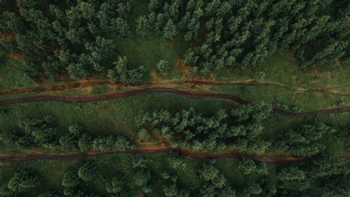 Nature. Desktop wallpaper