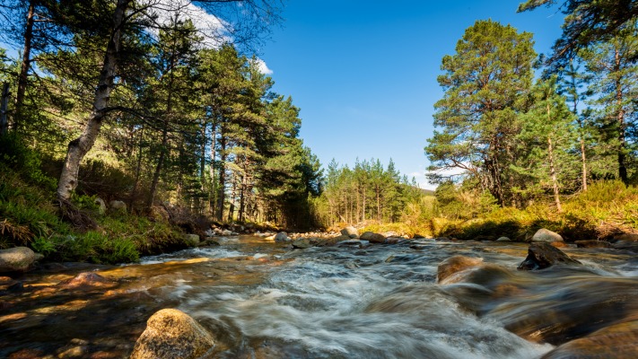 Nature. Desktop wallpaper