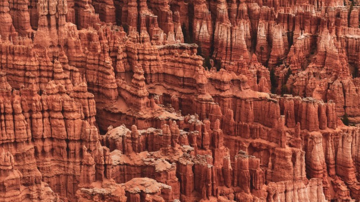 Nature. Desktop wallpaper