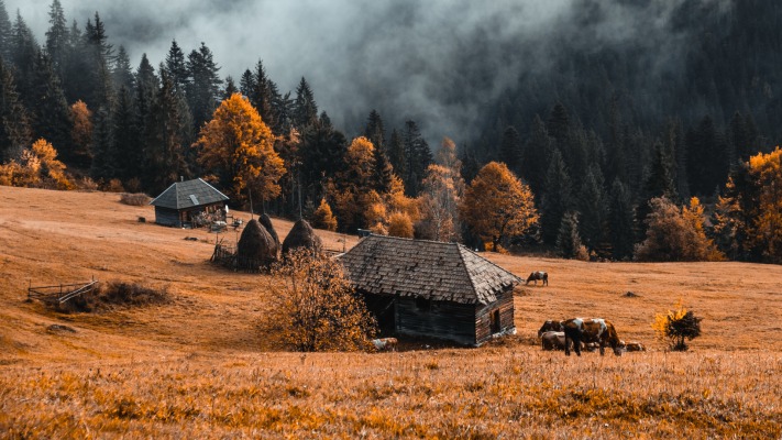 Nature. Desktop wallpaper