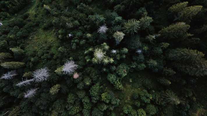 Nature. Desktop wallpaper