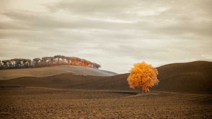 Nature. Desktop wallpaper
