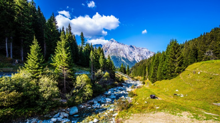 Nature. Desktop wallpaper