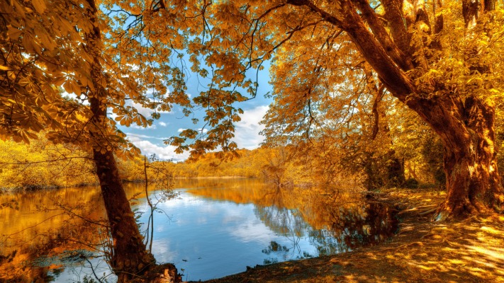 Nature. Desktop wallpaper
