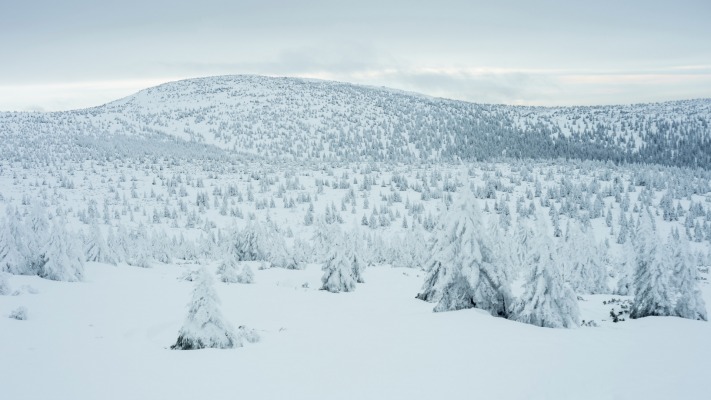 Nature. Desktop wallpaper