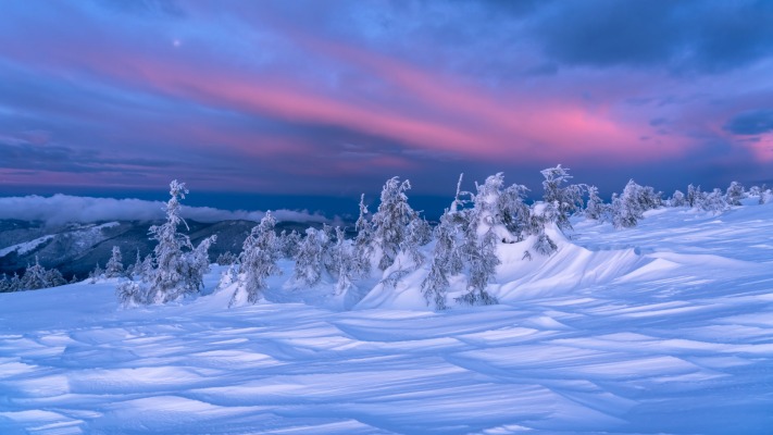 Nature. Desktop wallpaper
