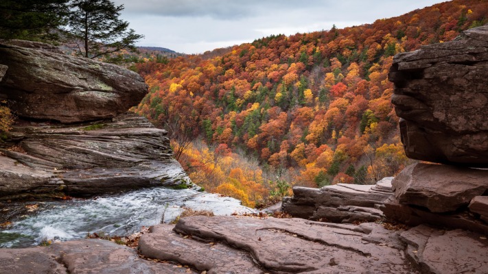 Nature. Desktop wallpaper