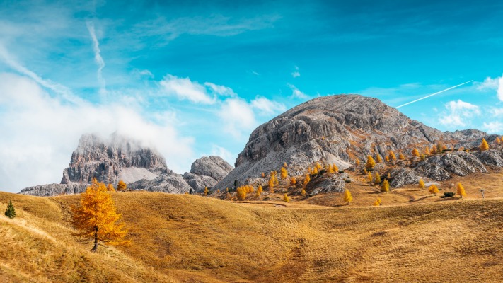 Nature. Desktop wallpaper