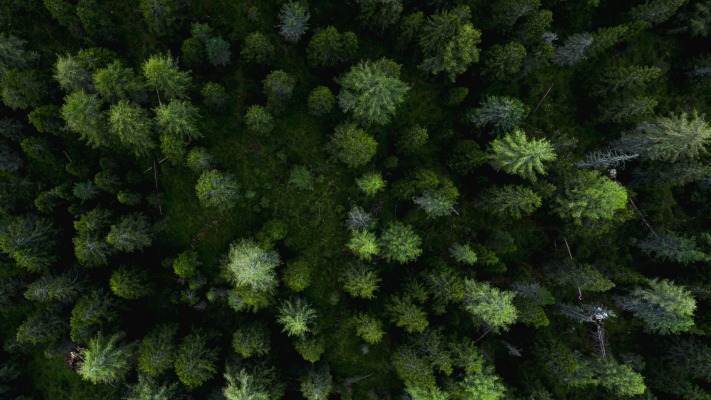 Nature. Desktop wallpaper
