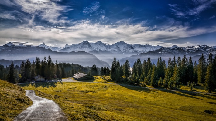 Nature. Desktop wallpaper