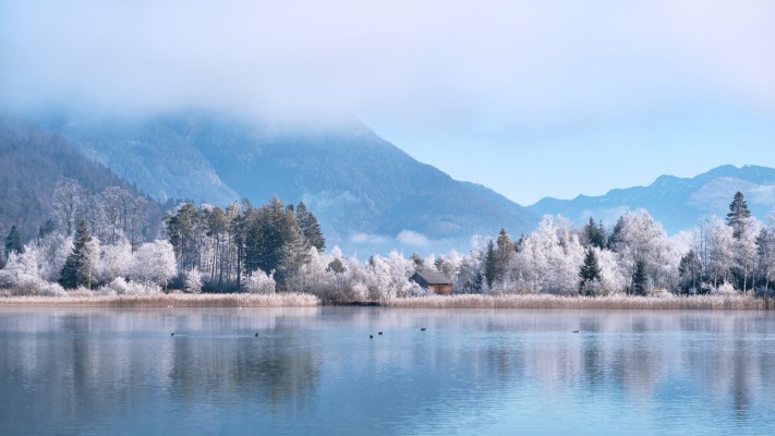 Nature. Desktop wallpaper