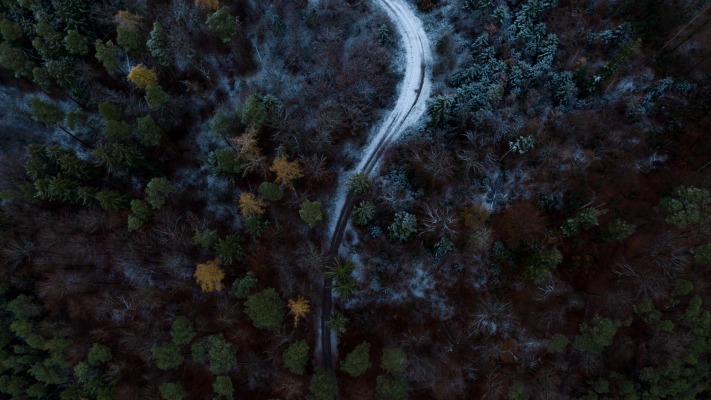 Nature. Desktop wallpaper