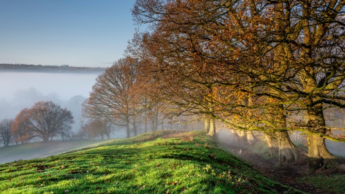 Nature. Desktop wallpaper