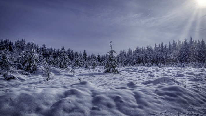 Nature. Desktop wallpaper