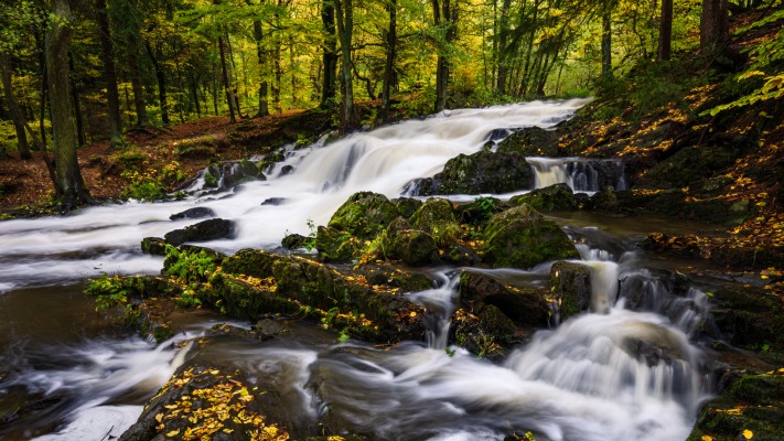 Nature. Desktop wallpaper