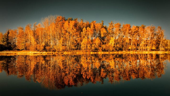Nature. Desktop wallpaper