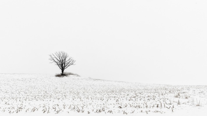 Nature. Desktop wallpaper