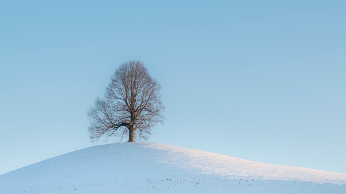 Nature. Desktop wallpaper