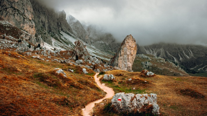 Nature. Desktop wallpaper