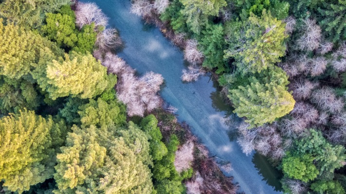Nature. Desktop wallpaper