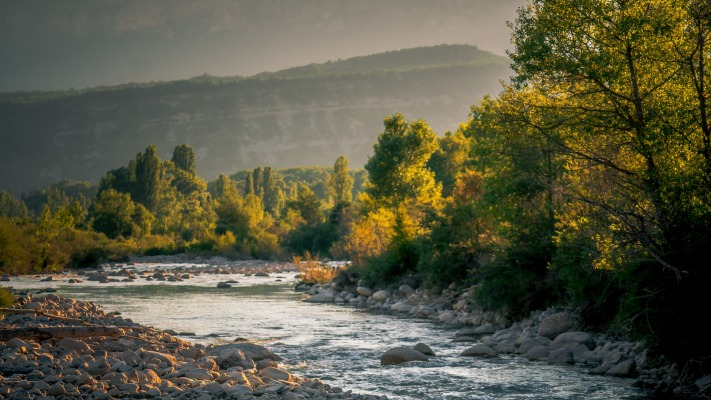 Nature. Desktop wallpaper