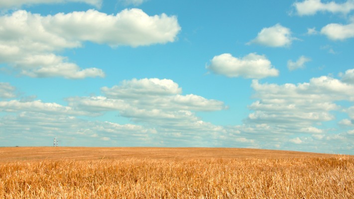 Nature. Desktop wallpaper