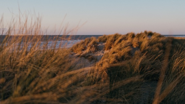 Nature. Desktop wallpaper