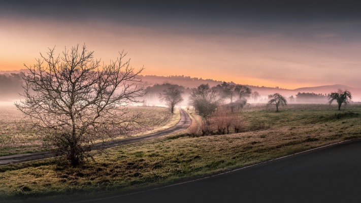 Nature. Desktop wallpaper