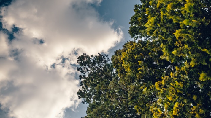 Nature. Desktop wallpaper