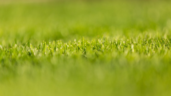 Nature. Desktop wallpaper