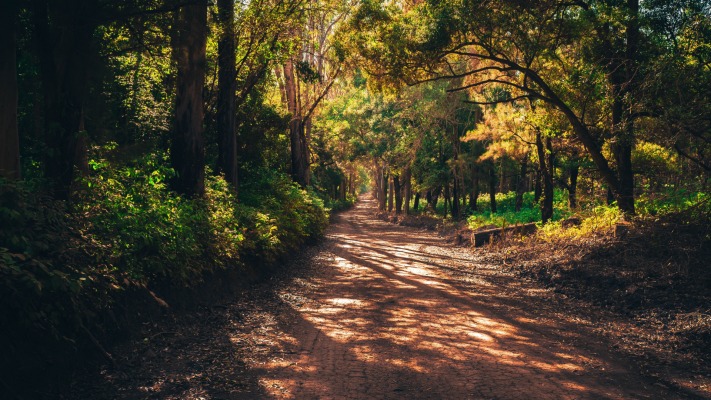 Nature. Desktop wallpaper