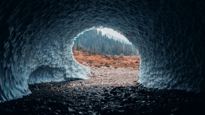 Nature. Desktop wallpaper