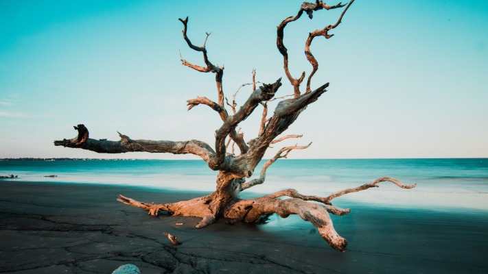 Nature. Desktop wallpaper