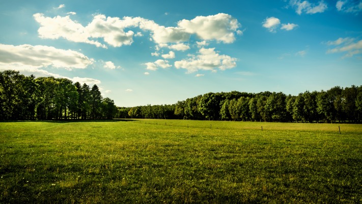 Nature. Desktop wallpaper