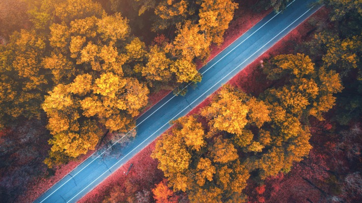 Nature. Desktop wallpaper