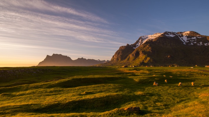 Nature. Desktop wallpaper