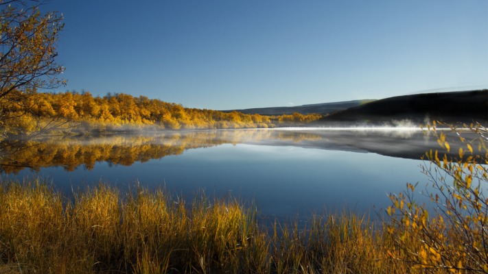 Nature. Desktop wallpaper