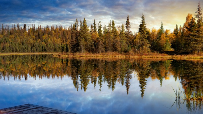 Nature. Desktop wallpaper