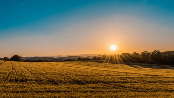 Nature. Desktop wallpaper